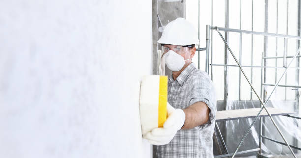 Best Mold Removal for HVAC Installations in Elkton, VA