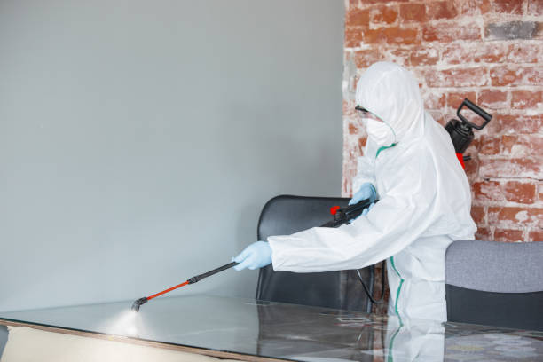 Why You Should Choose Our Mold Remediation Services in Elkton, VA